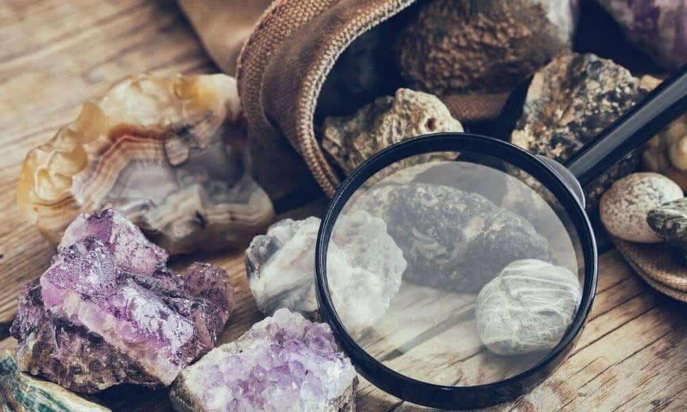 Najdziwniejsze hobby kolekcjonerskie: Odkryj fascynujący świat unikalnych pasji