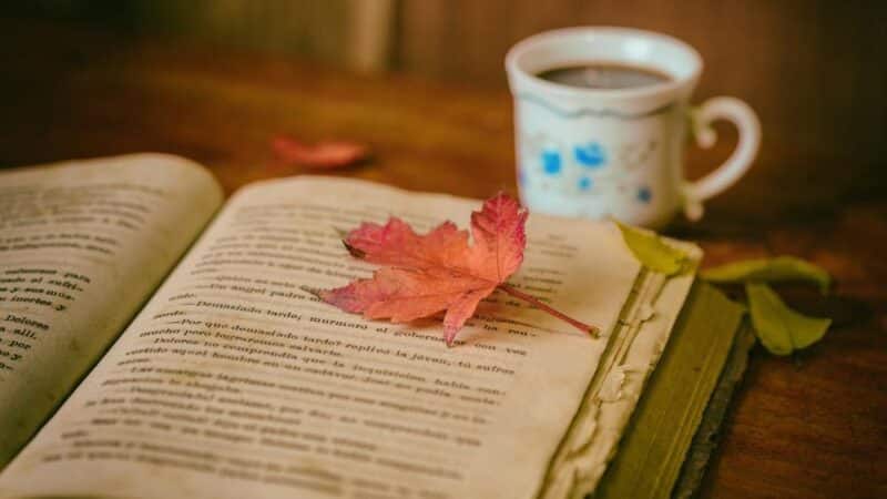 Jakie hobby warto wypróbować w wolnym czasie?