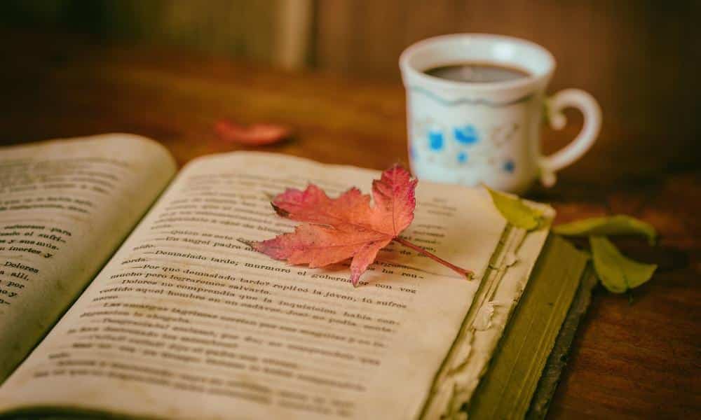 Jakie hobby warto wypróbować w wolnym czasie?